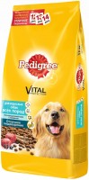 Photos - Dog Food Pedigree Adult All Breed Beef 