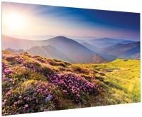 Photos - Projector Screen Projecta FullVision 240x135 