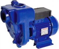 Photos - Surface Pump Speroni HG 50-1.1 