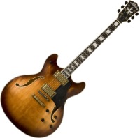Photos - Guitar Washburn HB36K 