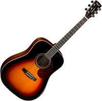 Photos - Acoustic Guitar Cort Earth 200 