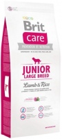 Photos - Dog Food Brit Care Junior Large Breed Lamb/Rice 