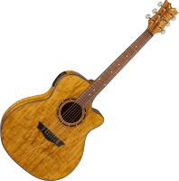 Acoustic Guitar Dean Guitars Exotica A/E - Spalt Maple 