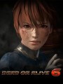 Team Ninja Dead or Alive 6 