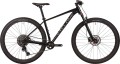 Cyclone SX 29 2025 frame XL 