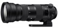 Sigma 150-600mm f/5-6.3 Sports OS HSM DG 