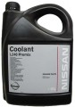 Nissan Coolant L248 Premix 5 L