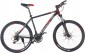 TRINX M136 2019 frame 17