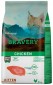 Bravery Kitten Grain Free Chicken