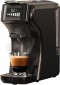 HiBREW H1B