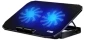 Ice Coorel N106