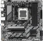 Gigabyte B850M DS3H