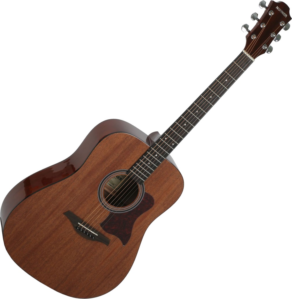 Hohner Hw300 - Buy Acoustic Guitar: Prices, Reviews, Specifications 