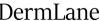 Dermlane.com