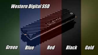 WD SSD Series: Green, Blue, Red, Black, Gold