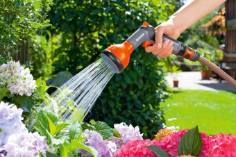 How to organize watering in the country, and what is needed for this