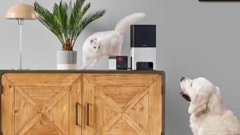 TOP devices for a home with pets